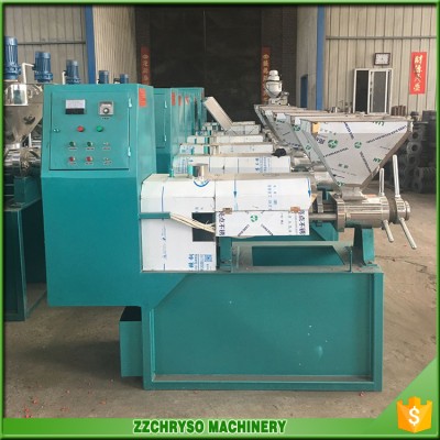 Made in China cold press oil machine for neem oil