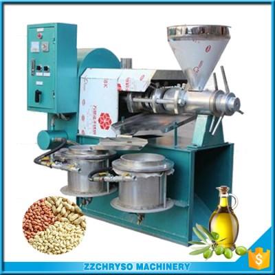 Hot press mini sunflower seeds oil press machine oil expeller